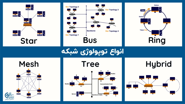 انواع توپولوژی شبکه شامل ستاره‌ای، حلقوی، درختی و مش