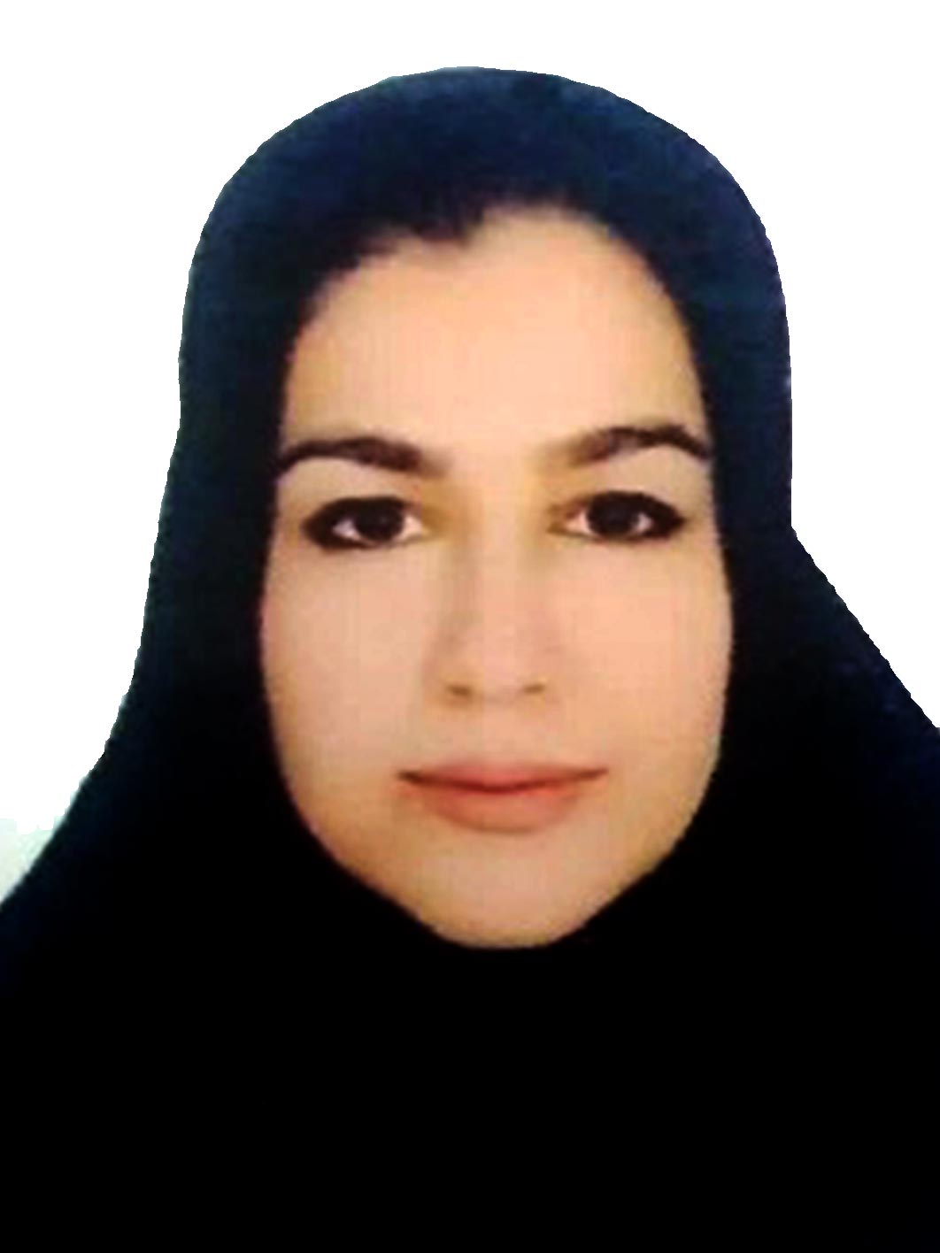 خانم مهندس حسینی